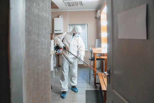 Best Comprehensive Air Testing for Mold Contaminants  in Nederland, TX