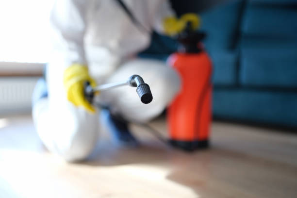 Best Airborne Mold Testing  in Nederland, TX